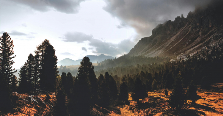 The Convergence of Technology and Patient Outcomes