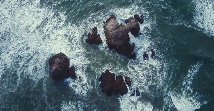 Empowering the Future of Manual Therapy